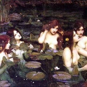 Meet your Posher, sara